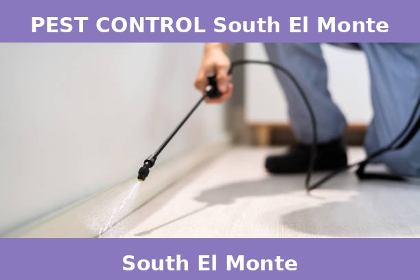 PEST CONTROL South El Monte